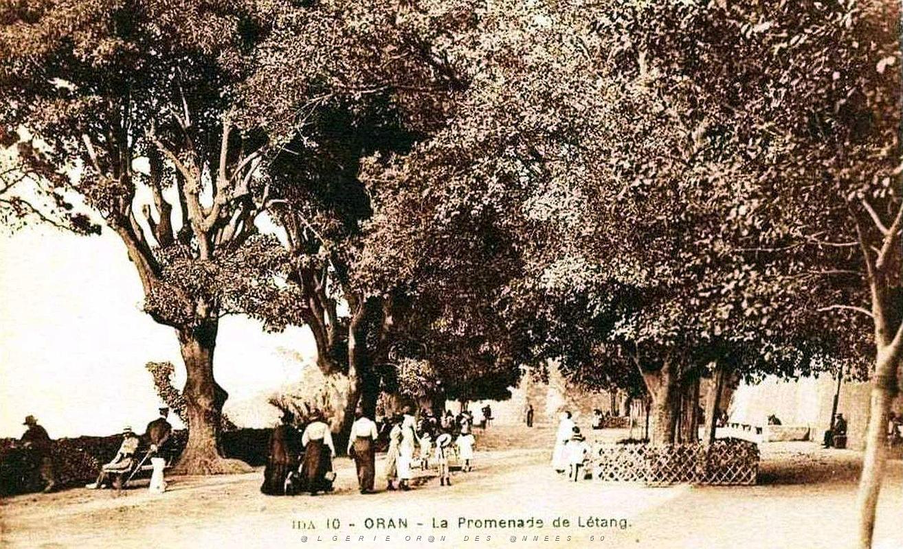 Oran - Promenade de Letang.jpg